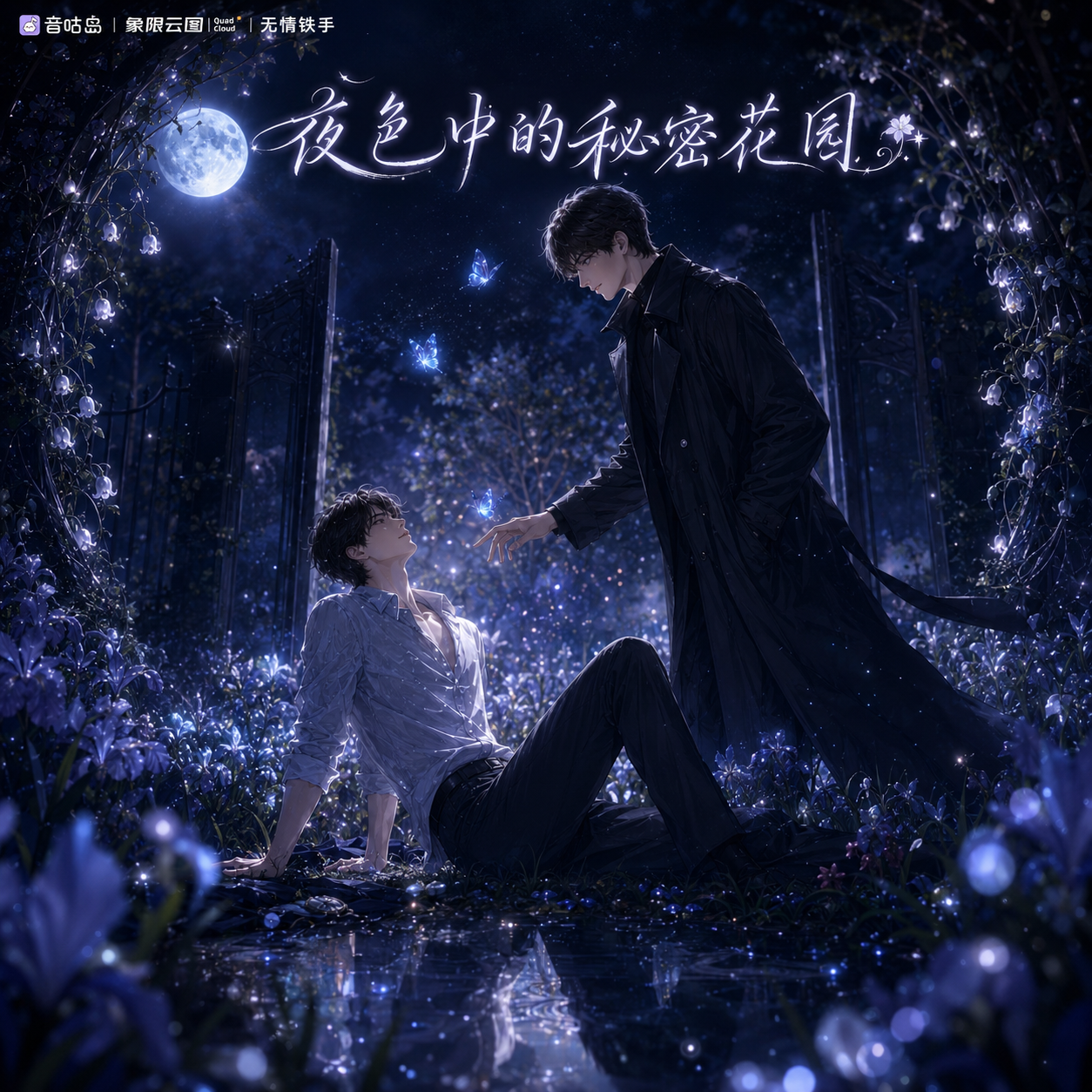 夜色中的秘密花园封面