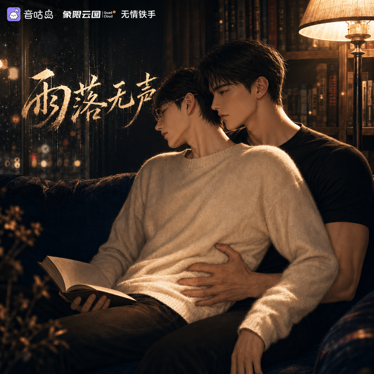 雨落无声封面