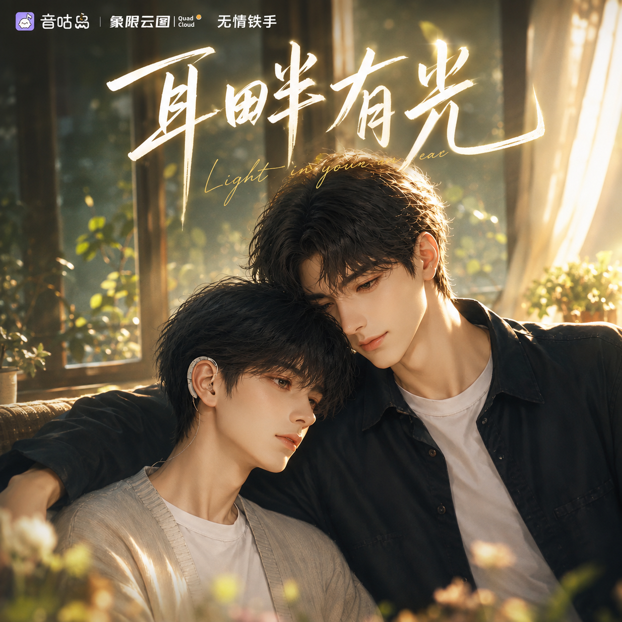 耳畔有光封面